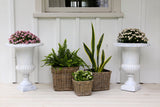 Square Rattan Planter Baskets | 3 Sizes