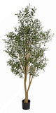 Faux Olive Tree | 7' Custom Multi- Stem