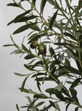 Faux Olive Tree | 7' Custom Multi- Stem