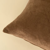 Vera Luxe Velvet Pillow | Carmel