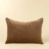 Vera Luxe Velvet Pillow | Carmel