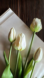 Fresh Touch Faux Tulip Bundle | White Long Stem