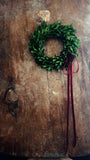 Preserved Boxwood Wreath | 8"
