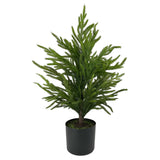 Fresh Touch Norfolk Pine Potted Tree | 26"