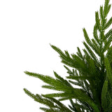 Fresh Touch Norfolk Pine Potted Tree | 26"