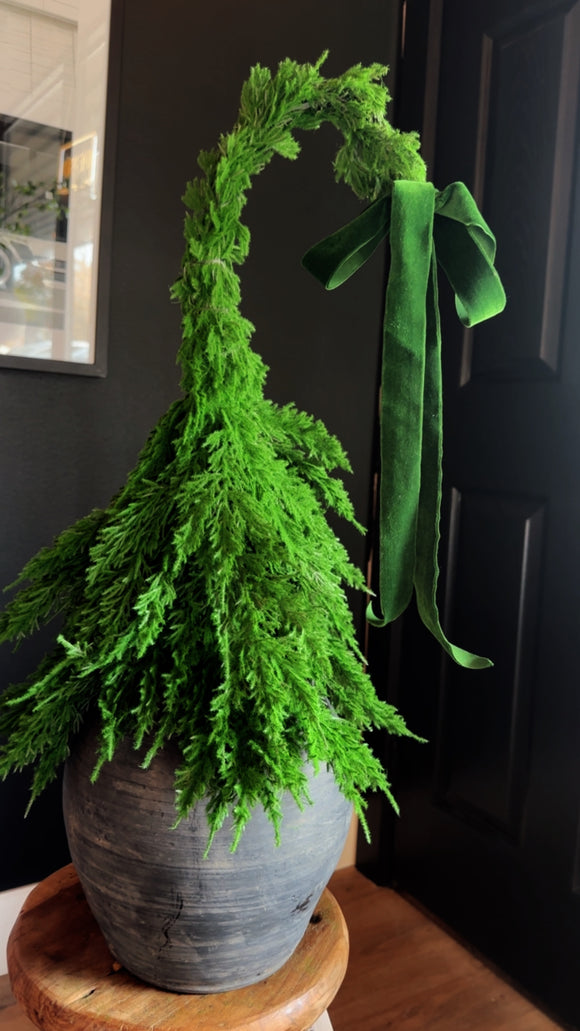 Cedar Grinch Tree with Burlap | 24