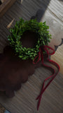 Preserved Boxwood Wreath | 8"