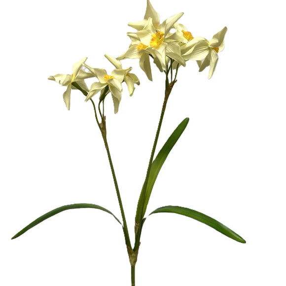 Narcissus Stem |Yellow and Cream Yellow