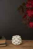 Ginko Budvase