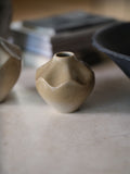 Whitman Budvase