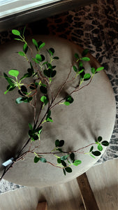 Mini Ficus Leaf Spray