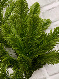 Fresh Touch Noble Fir Branch | 31"