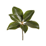 14" Magnolia Leaf Pick