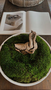 ZANE Stoneware Bowl with Preserved Moss