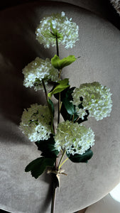 Snowball Hydrangea Spray