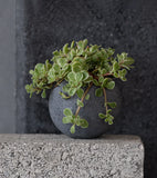 Black Orbis Concrete Vessel | Medium