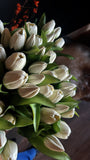 Fresh Touch Faux Tulip Bundle | White Long Stem