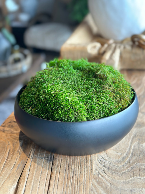 Bowl with Preserved Moss