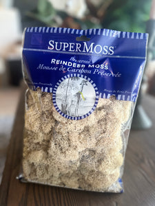 Reindeer Moss Preserved Natural