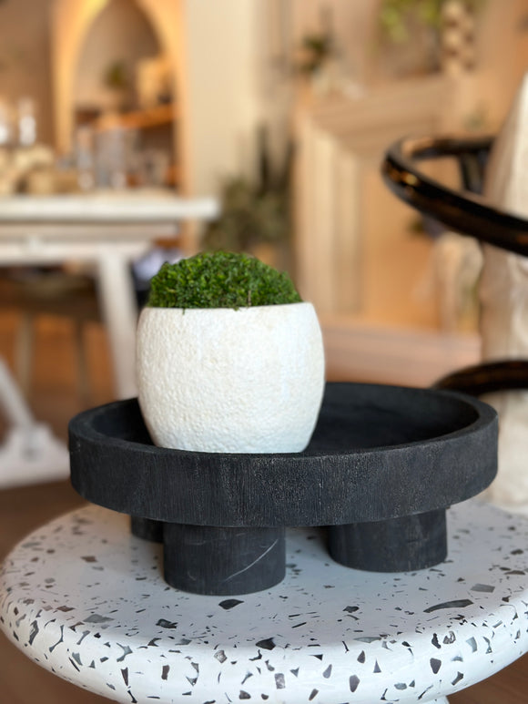 Cement Round Pot with Preserved Moss