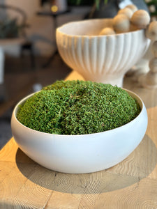Simply Low Bowl with Preserved Moss