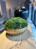 Scalloped Brass Bowl w/ Preserved Moss