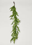 Fresh Touch Norfolk Pine Garland | 6ft