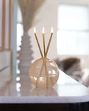 Neva Vase | Everlasting Candle | Pampas