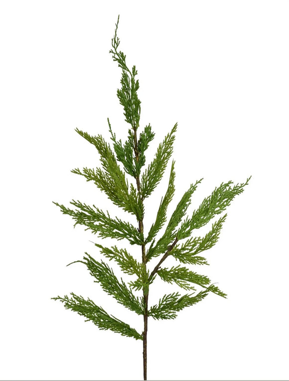 Fresh Touch Whispy Cedar Branch | 24