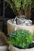 Vintage Stone Trough | Custom Order