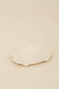 Oyster Tray | White Snake