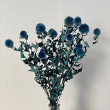 Echinops Preserved Blue 24"