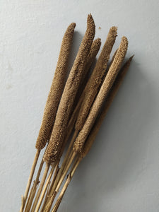 BABALA STEMS | TAUPE