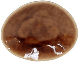 Riviera Terra Oval plate