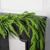 6' Long B.C Cedar Garland w/ Berries