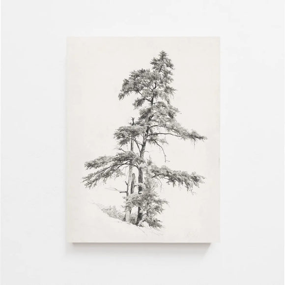 TREE SKETCH | VINTAGE ART PRINT