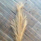 Feather Artificial Pampas Grass