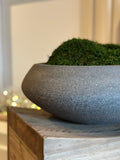FICON BOWL W/ PRESERVED MOSS