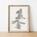 TREE SKETCH | VINTAGE ART PRINT