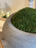 FICON BOWL W/ PRESERVED MOSS