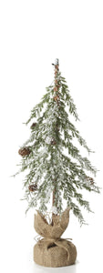 FROSTED NEEDLE PINE TREE