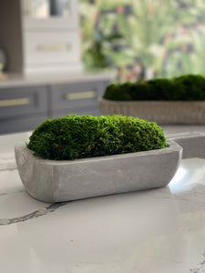 PAULOWNIA HANDLE TRAY FILLED WITH PRESERVED MOOD MOSS